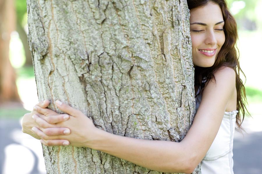 Summer Photograph - Tree Hugging #3 by Ian Hooton/science Photo Library