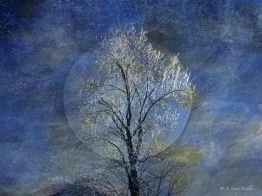 Tree Of Ice #3 Digital Art by J Larry Walker