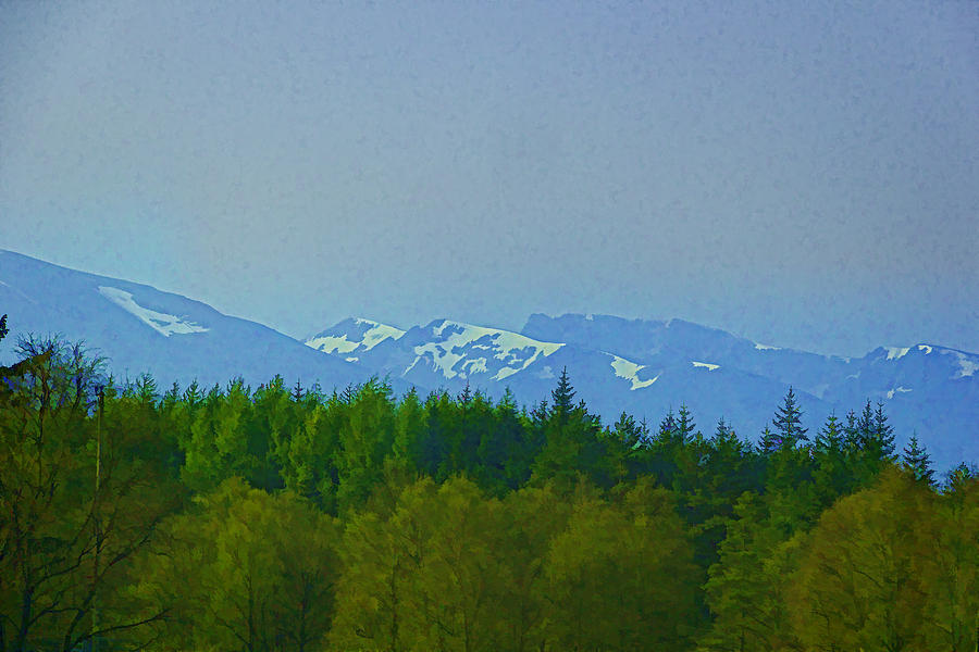 Treeline With Ice Capped Mountains In The Scottish Highlands Photograph