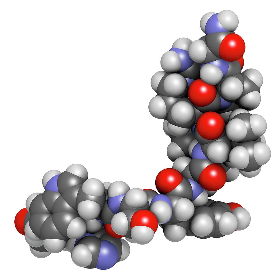Illustration Photograph - Triptorelin Drug Molecule #3 by Molekuul