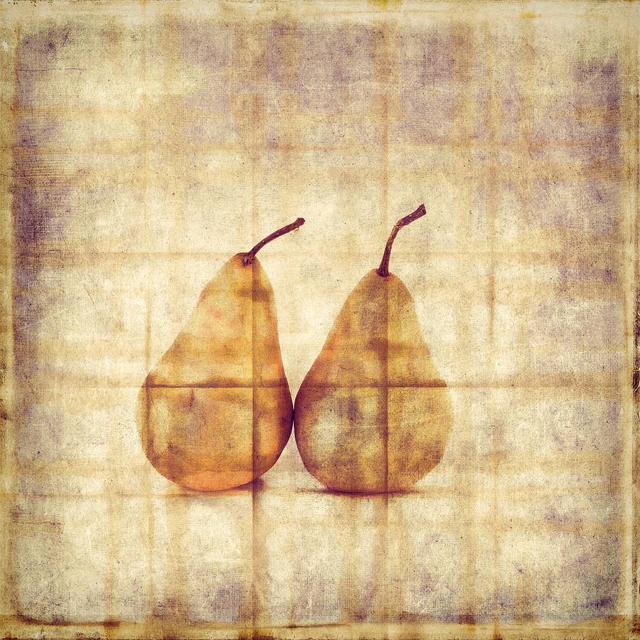 Two Yellow Pears on Folded Linen  #3 Photograph by Carol Leigh