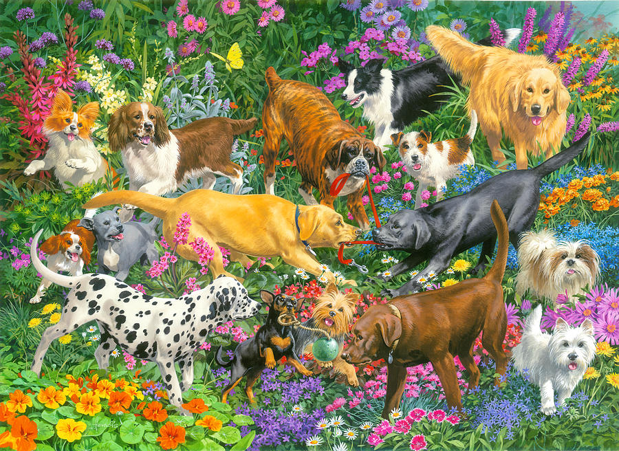 Playful Dogs Painting by MGL Meiklejohn Graphics Licensing