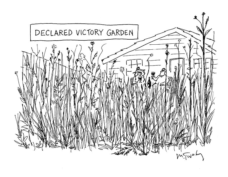 Declared Victory Garden Drawing by Mike Twohy