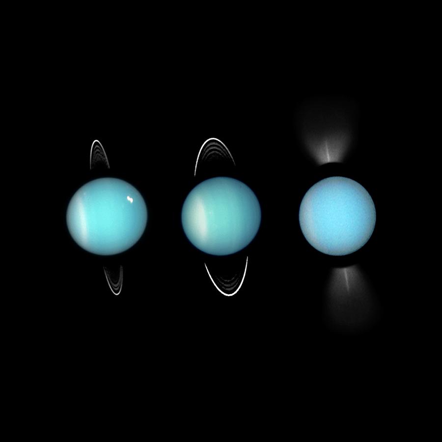 Uranus #3 Photograph by Nasa/esa/m. Showalter (seti Institute)/science Photo Library