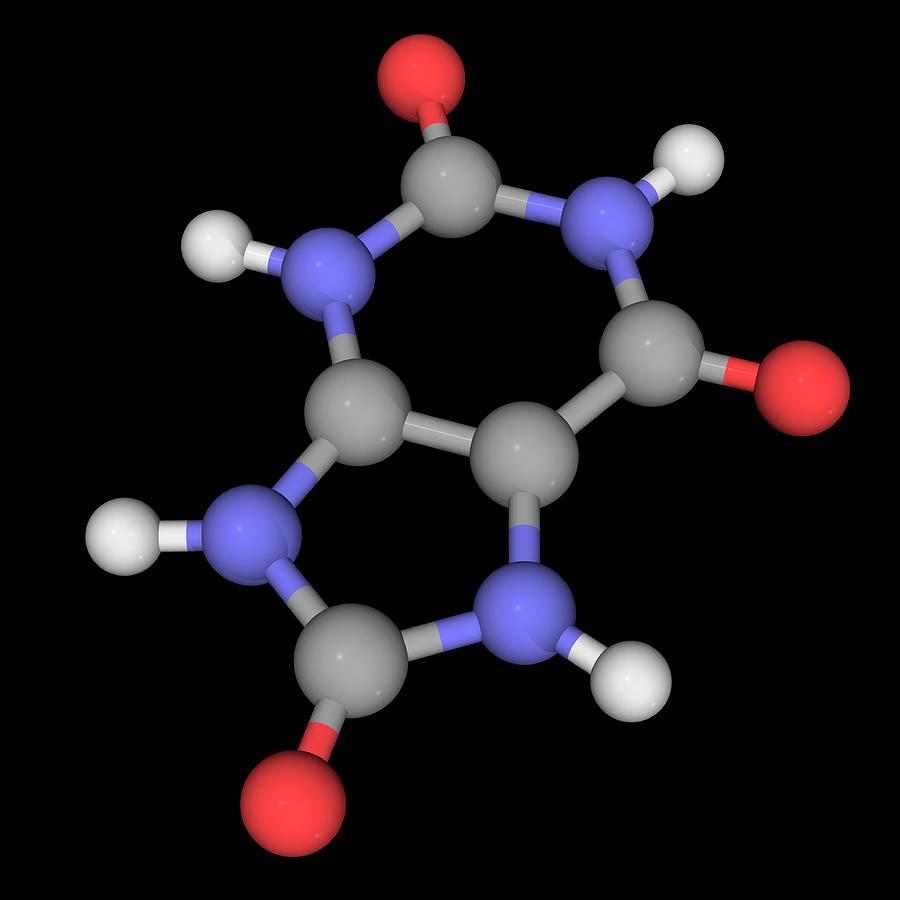 Uric Acid Molecule #3 Photograph by Laguna Design/science Photo Library
