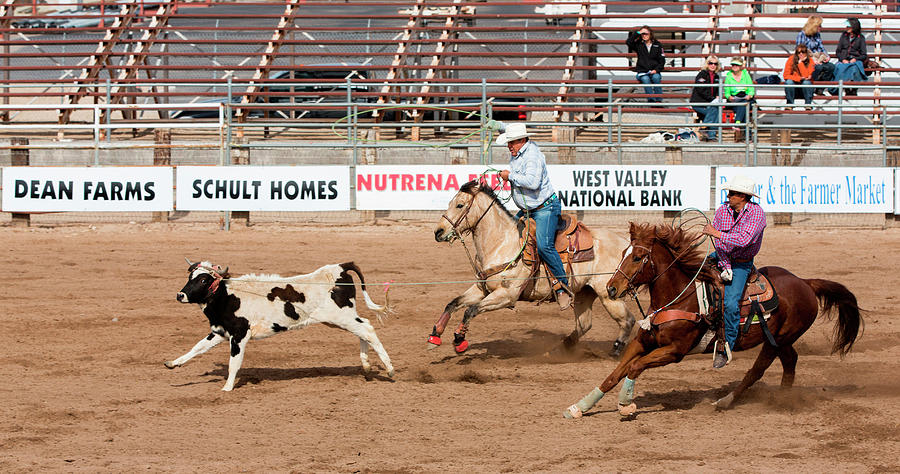 Horse Photograph - USA, Arizona, Buckeye, Hellzapoppin #3 by Jaynes Gallery