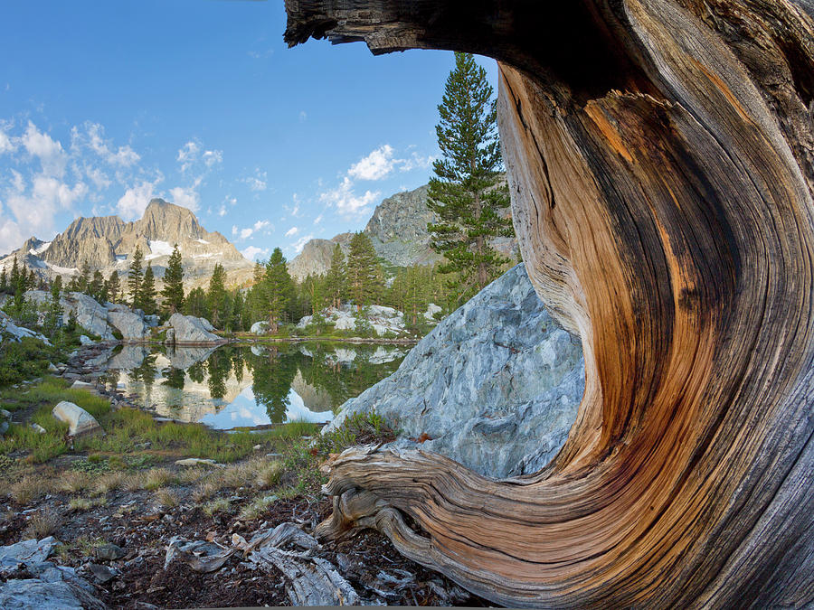 Landscape Photograph - USA, California, Inyo National Forest #3 by Jaynes Gallery