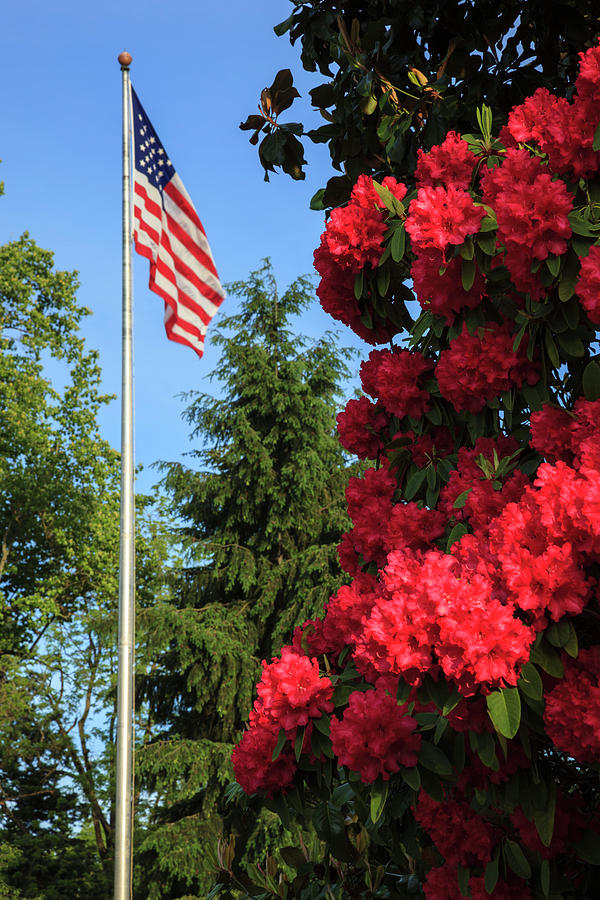 USA, Oregon, Salem, State Capitol #3 Photograph by Rick A Brown - Fine ...