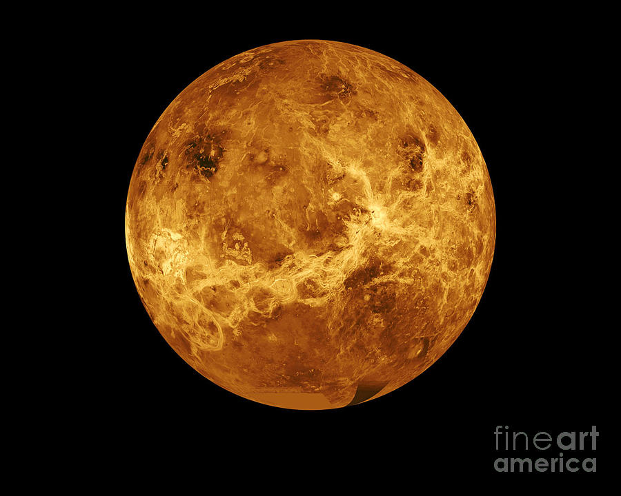 Venus #3 Photograph by Science Source