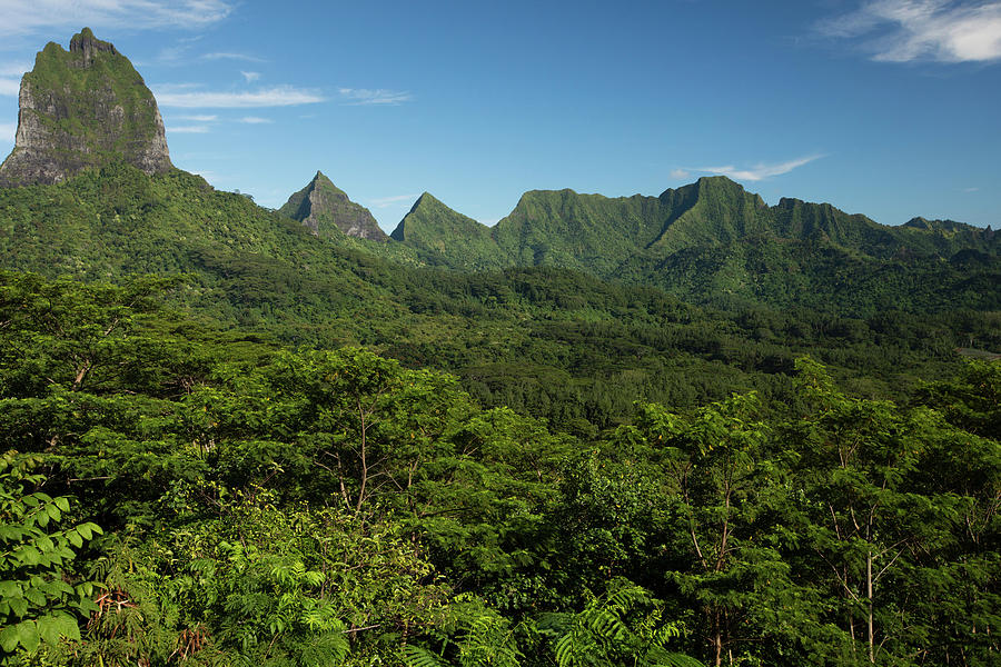 View Of Mountain Peaks, Moorea, Tahiti Photograph by Panoramic Images ...