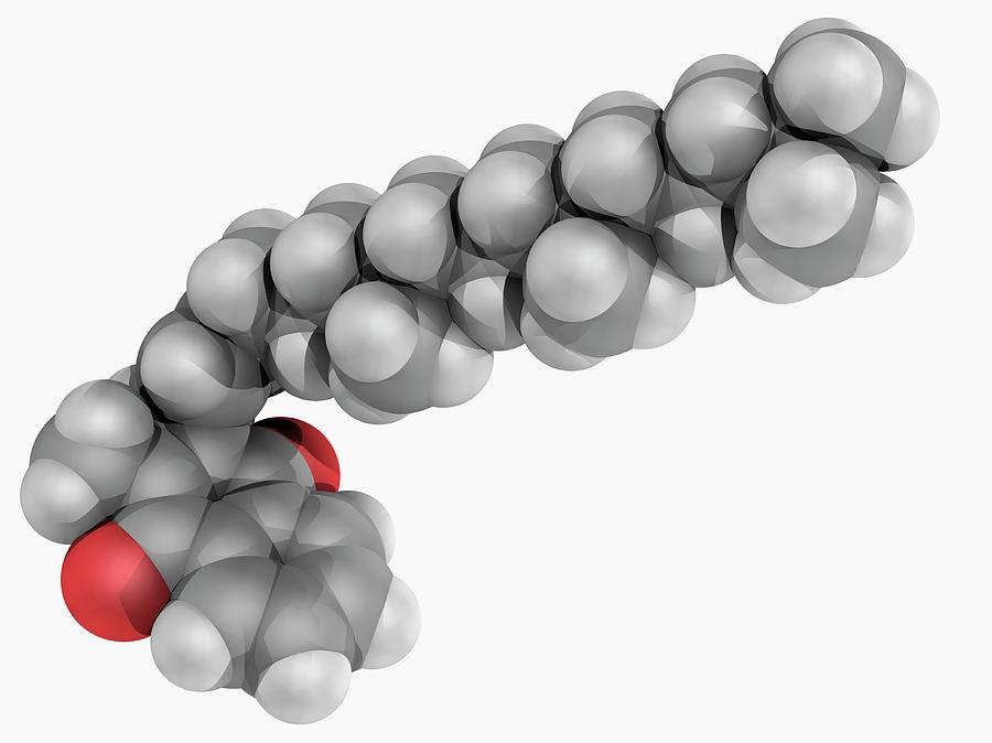 Vitamin K1 Molecule Photograph By Laguna Design/science Photo Library