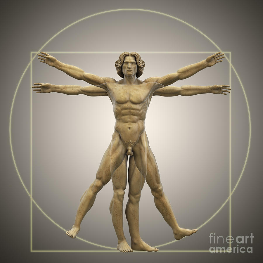 Vitruvian Man Photograph by Science Picture Co Pixels
