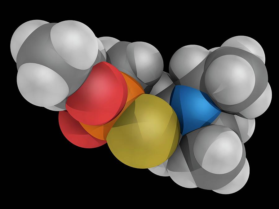 Vx Nerve Agent Molecule Photograph by Laguna Design/science Photo ...