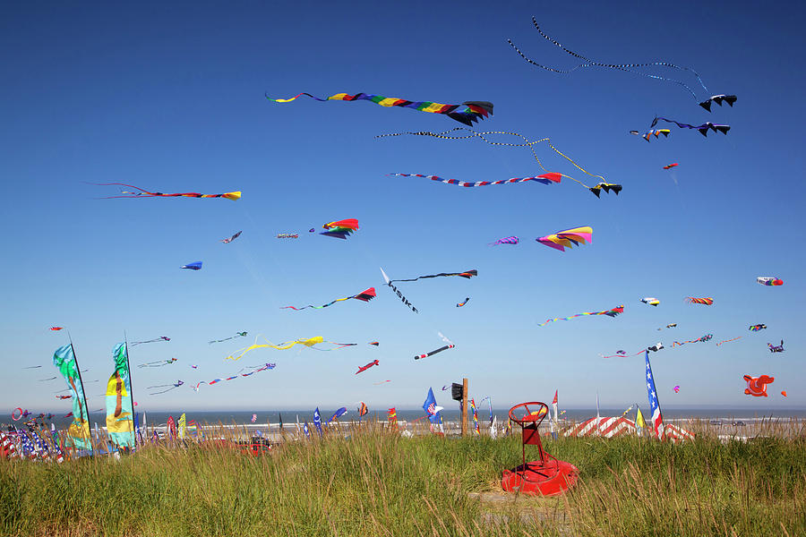 Beach Photograph - Wa, Long Beach, International Kite by Jamie and Judy Wild Beach Photograph - Wa, Long Beach, International Kite by Jamie and Judy Wild