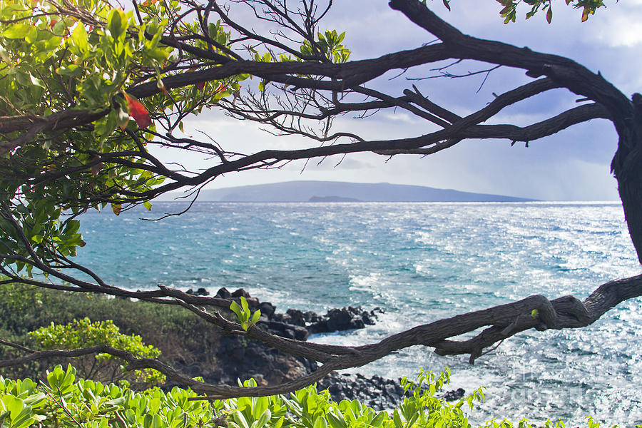Wailea Point Maui Hawaii #4 Photograph by Sharon Mau