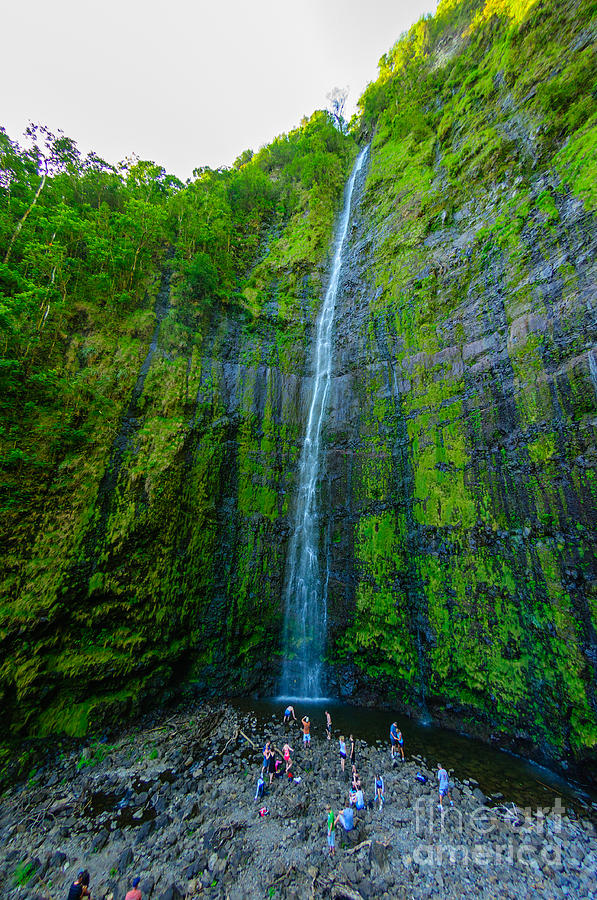 Nature Photograph - Waimoku Falls on The Road to Hana Maui Hawaii USA #3 by Don Landwehrle