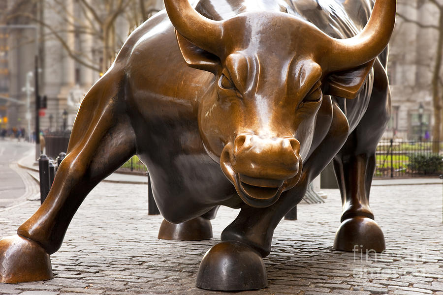 Wall Street Bull #1 Photograph by Brian Jannsen