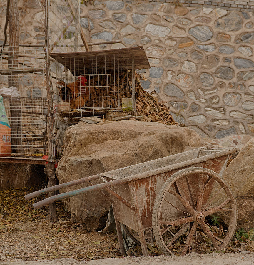 Chicken Photograph - Wang jia Po Village Beijing China #3 by Andrew Maslin