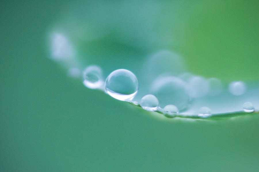 Water Drop Photograph by Kam Chuen Dung - Fine Art America