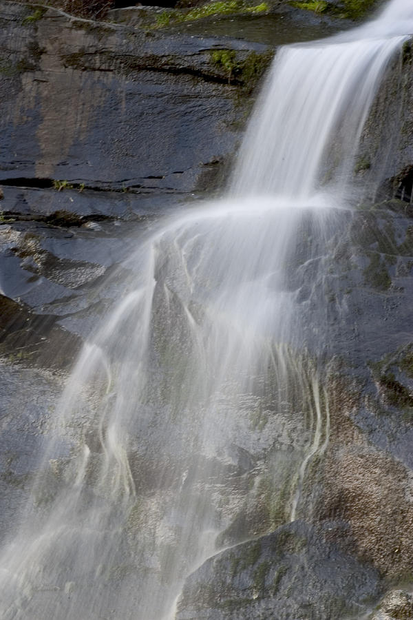 Waterfall #3 Photograph by Paul Whitten