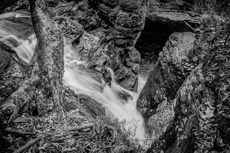Waterfalls George W Childs National Park Painted BW   #3 Photograph by Rich Franco