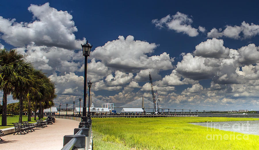 Waterfront Park in Charleston #3 Photograph by David Oppenheimer