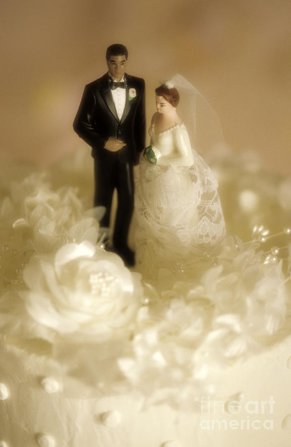 Wedding figurines #3 Photograph by Jim Corwin