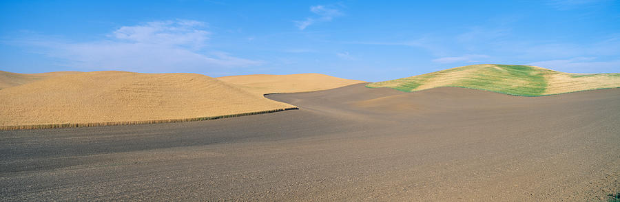 Nature Photograph - Wheat Fields, S.e. Washington #3 by Panoramic Images