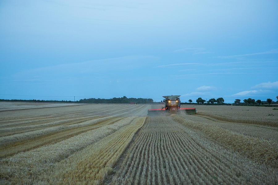 Wheat Harvesting At Dusk #3 Photograph by Lewis Houghton/science Photo Library