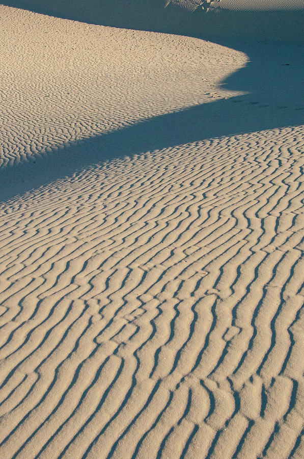 White Sands National Monument #3 Photograph by Donovan Reese