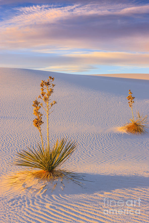 White Sands National Monument #3 Photograph by Henk Meijer Photography