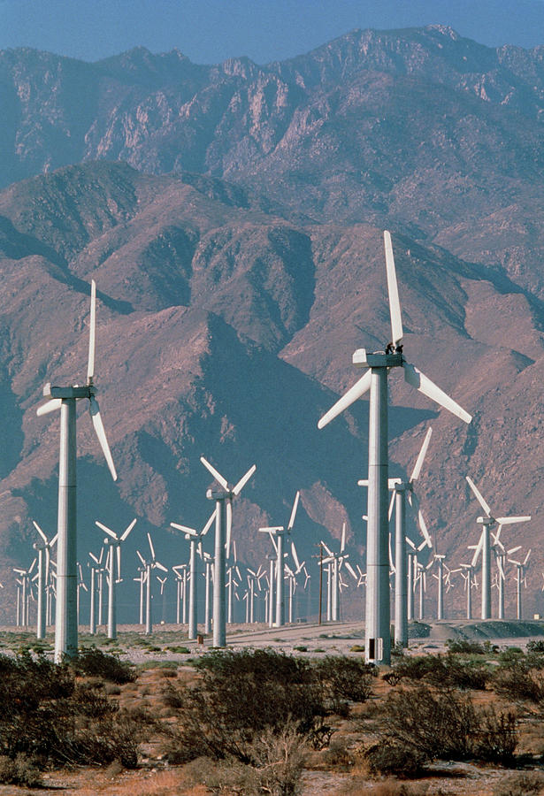 Renewable Energy Photograph - Wind Farm Producing Electricity #3 by Peter Menzel/science Photo Library