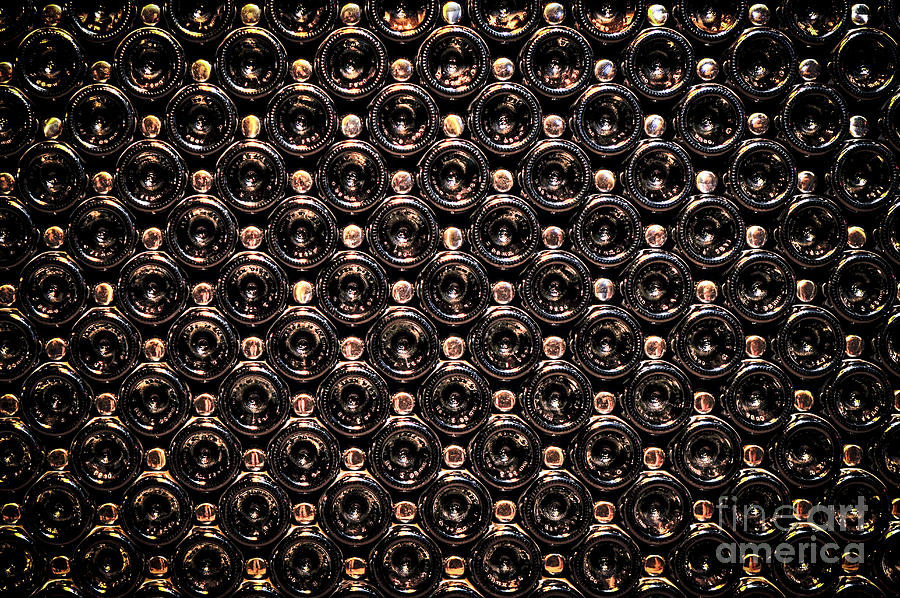 Wine bottles 1 Photograph by Elena Elisseeva