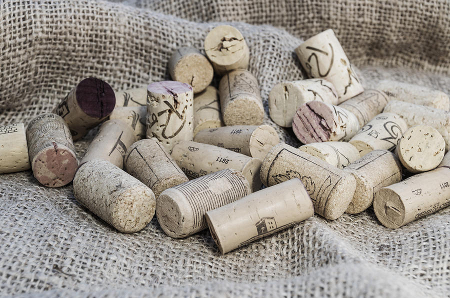 Wine corks #3 Photograph by Paulo Goncalves