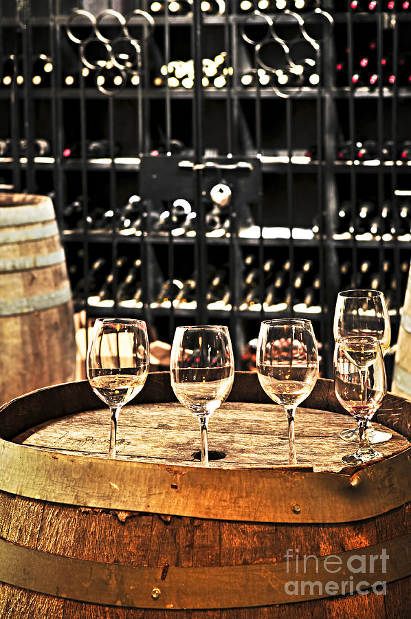 Wine glasses and barrels 2 Photograph by Elena Elisseeva
