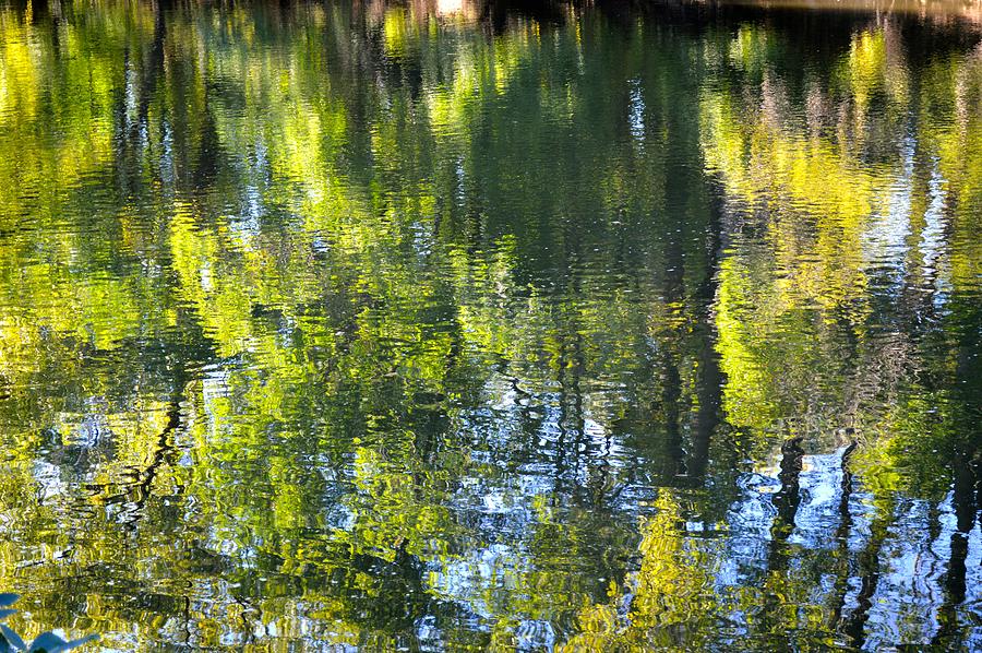 Winnebago River Reflection #3 Photograph by Curtis Krusie