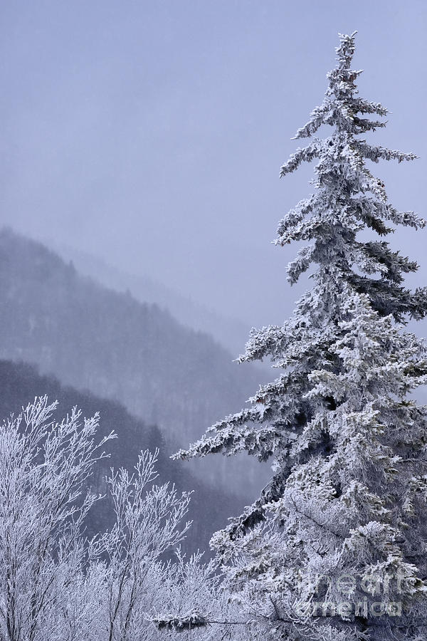 Winter Highland Scenic Highway #3 Photograph by Thomas R Fletcher