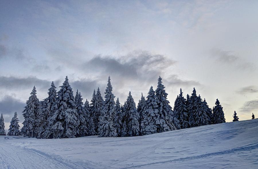 Winter #3 Photograph by Ivan Slosar