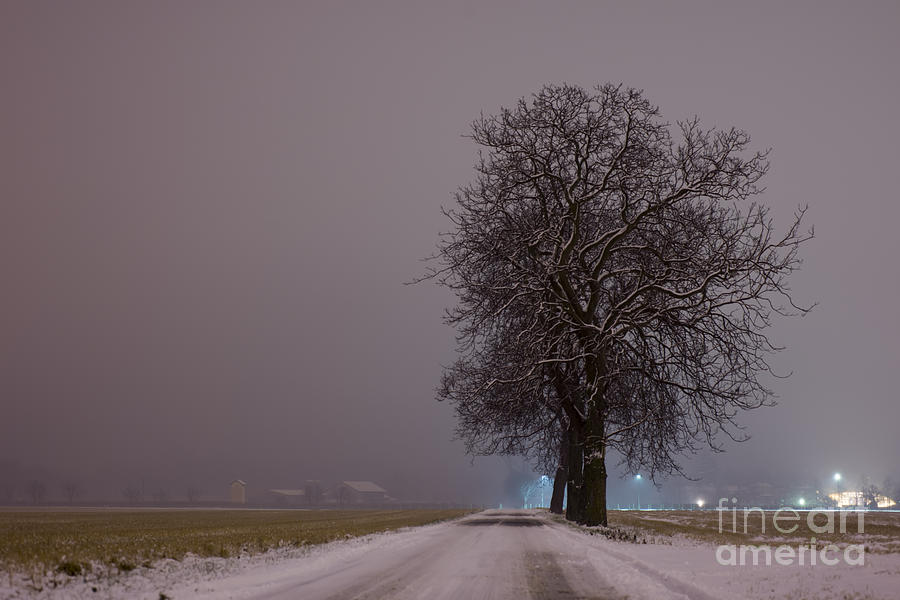 Winter Photograph - Winter road #3 by Mats Silvan