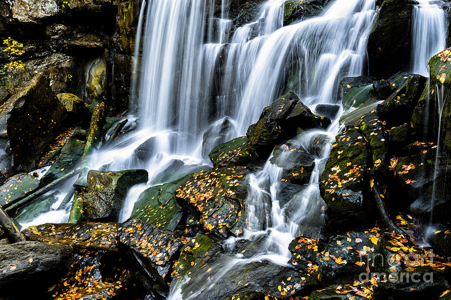 Fall Photograph - Wolf Creek Falls #3 by Thomas R Fletcher