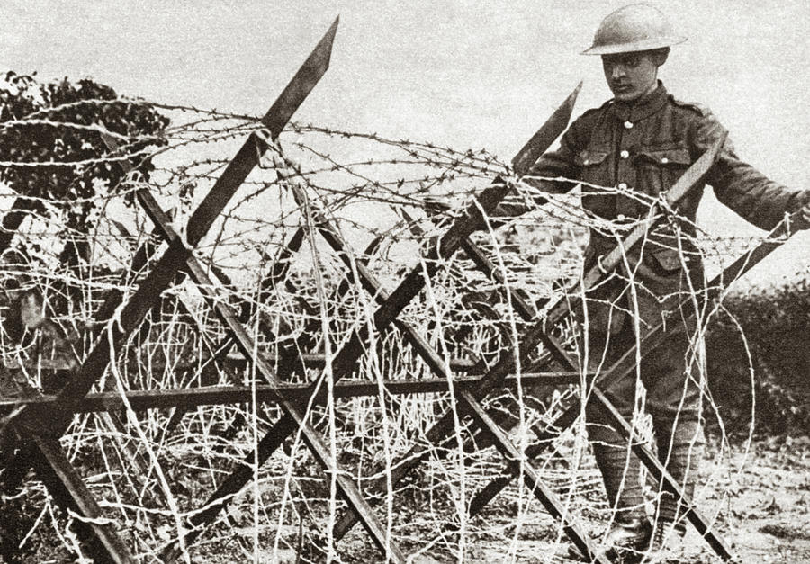 World War I Barbed Wire Photograph by Granger - Pixels
