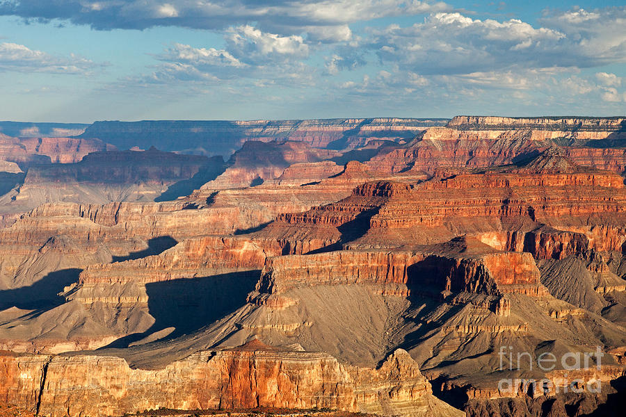 Yavapai Point Grand Canyon National Park #3 Photograph by Fred Stearns
