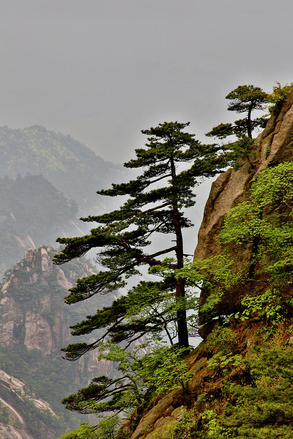 Anhui Photograph - Yellow Mountains A Unesco World #3 by Darrell Gulin