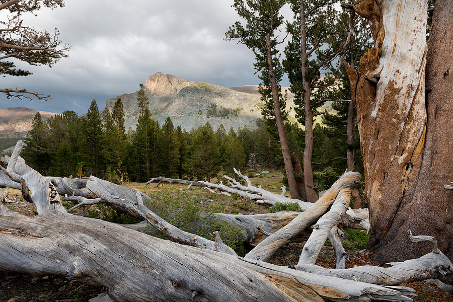 Yosemite National Park  #3 Photograph by Carol M Highsmith