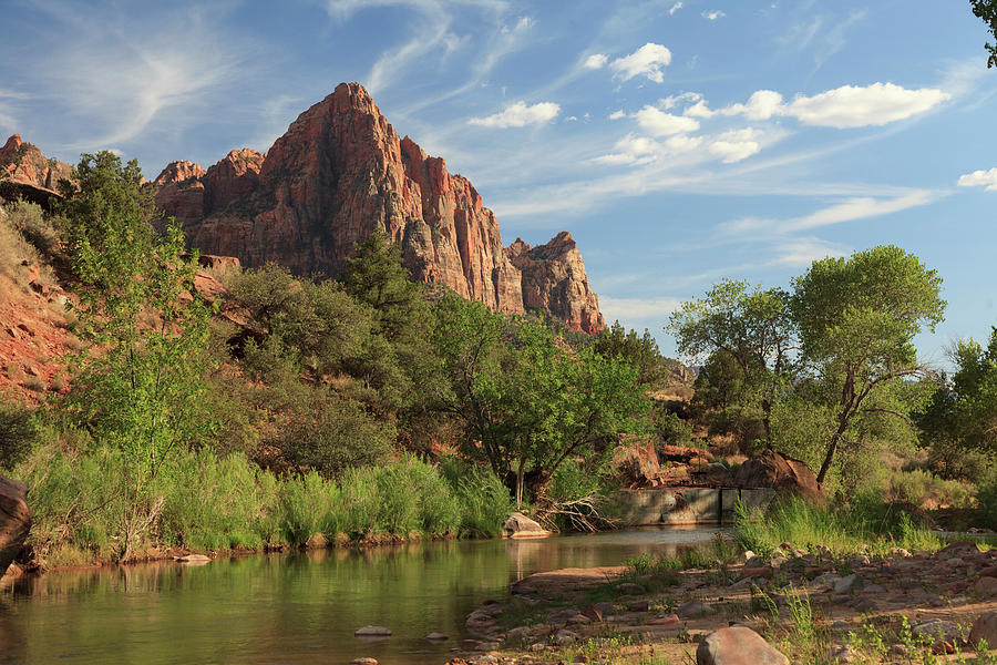 Zion National Park Photograph by Michele Falzone Zion National Park Photograph by Michele Falzone