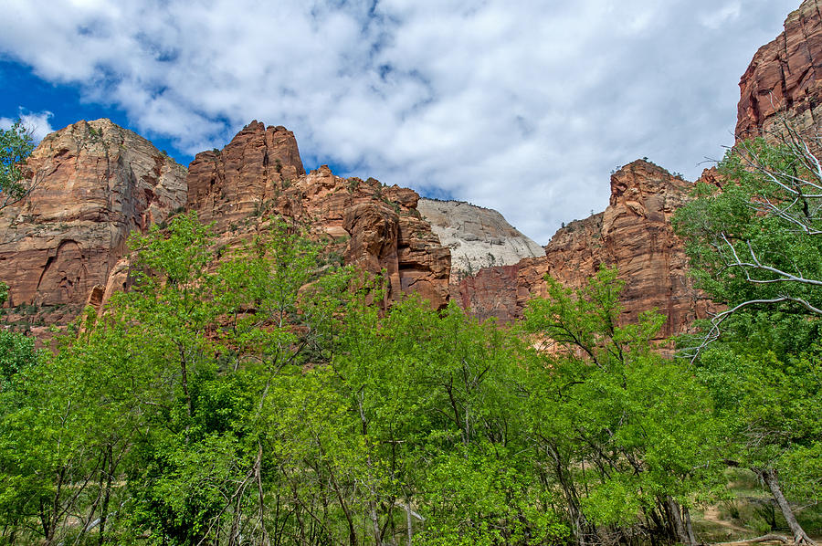 Zion National Park #3 Photograph by Willie Harper