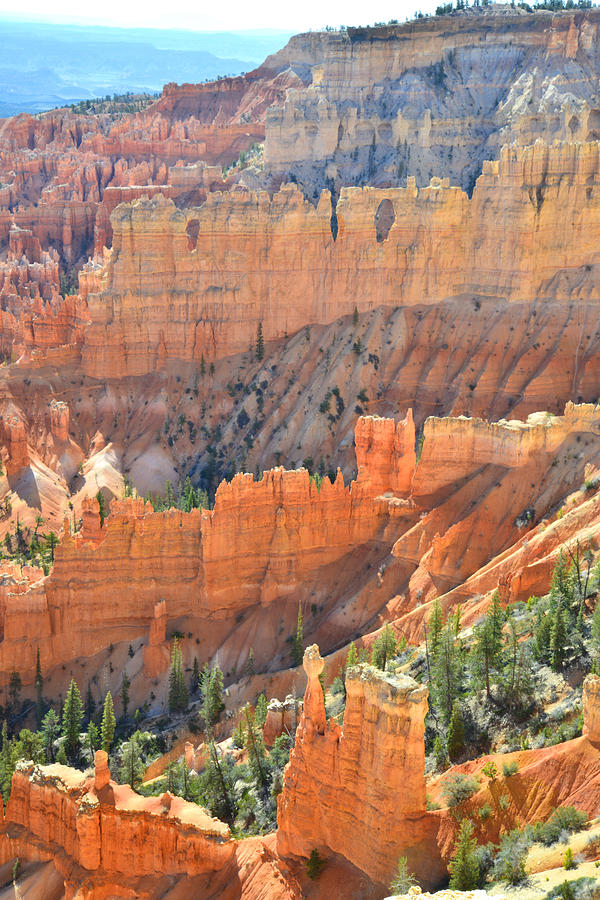 Bryce Canyon #31 Photograph by Ray Mathis