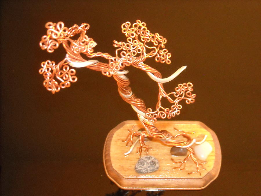 Nature Photograph - #30 Copper and Alluminum Literati with Jin Bonsai Tree wire Sculpture #30 by Ricks  Tree Art