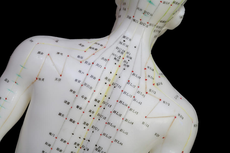 Human Model Showing Acupuncture Points #30 by Science Stock Photography ...