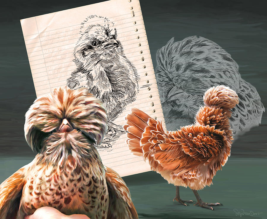 Chicken Digital Art - 30. Padua mix by Sigrid Van Dort Chicken Digital Art - 30. Padua mix by Sigrid Van Dort